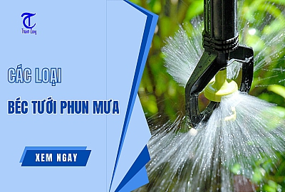 3 Loại Béc Tưới Phun Mưa Thông Dụng Nhất
