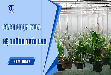 Cách Chọn Mua Hệ Thống Tưới Lan Tiết Kiệm Từ A-Z