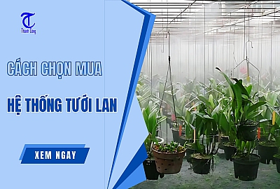 Cách Chọn Mua Hệ Thống Tưới Lan Tiết Kiệm Từ A-Z