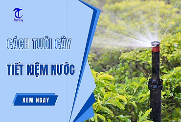 Hướng Dẫn Cách Tưới Cây Tiết Kiệm Nước Dễ Áp Dụng Nhất