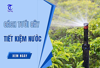 Hướng Dẫn Cách Tưới Cây Tiết Kiệm Nước Dễ Áp Dụng Nhất