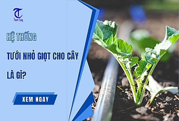 Hệ Thống Tưới Nhỏ Giọt Cho Cây Là Gì? Ưu Điểm, Ứng Dụng