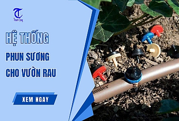 Hệ Thống Tưới Phun Sương Cho Vườn Rau Tiết Kiệm Nước