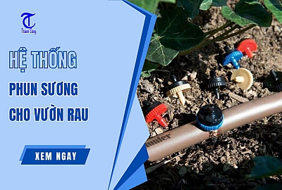 Hệ Thống Tưới Phun Sương Cho Vườn Rau Tiết Kiệm Nước