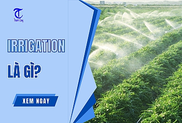 Irrigation là gì? #7 Hệ Thống Irrigation Phổ Biến Nhất