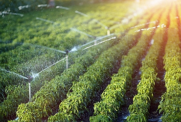 Irrigation là gì? #7 Hệ Thống Irrigation Phổ Biến Nhất