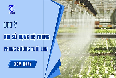 Lưu Ý Khi Sử Dụng Hệ Thống Phun Sương Tưới Lan [ Quan Trọng ]