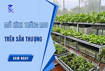 #5 Thiết kế mô hình Trồng Rau trên sân thượng ĐẸP