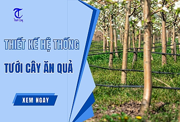 Thiết Kế Hệ Thống Tưới Cây Ăn Quả Từ A-Z [6 Bước]