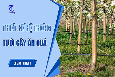 Thiết Kế Hệ Thống Tưới Cây Ăn Quả Từ A-Z [6 Bước]