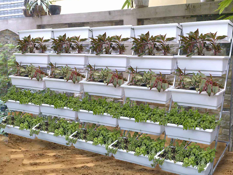 Thiết kế mô hình trồng rau trên sân thượng có mái che giá rẻ tại tphcm