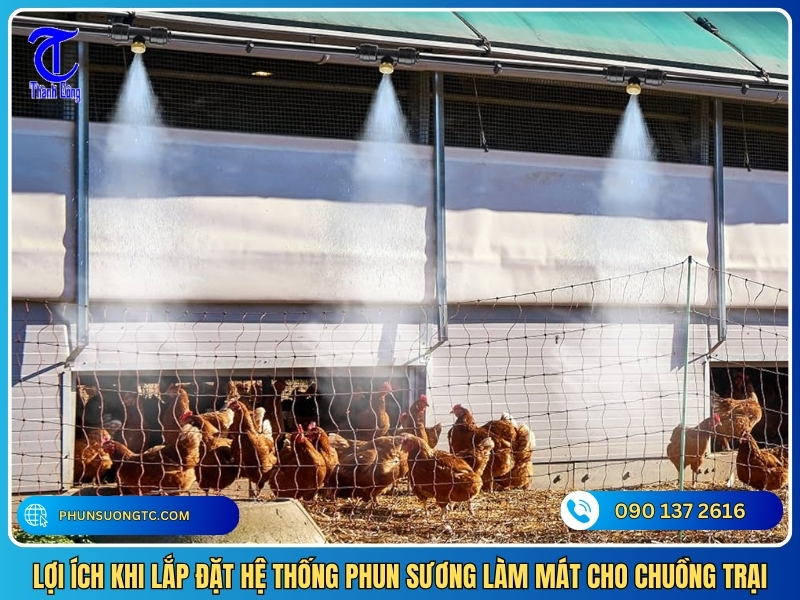 loi ich khi lap dat he thong phun suong lam mat cho chuong trai