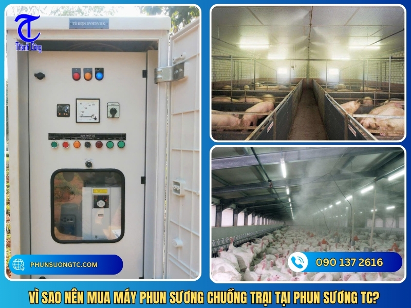 vi sao nen mua may phun suong chuong trai tai phun suong tc