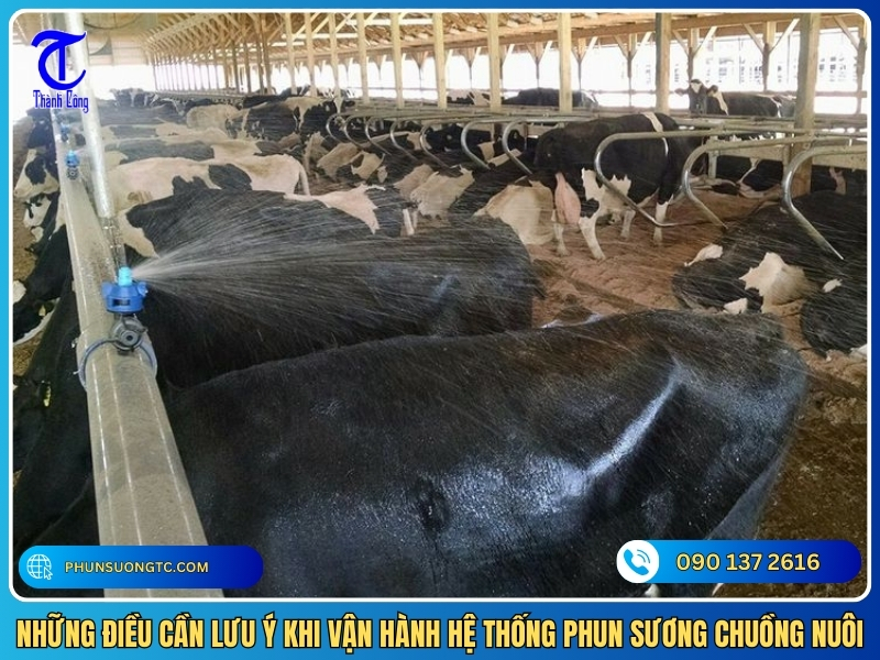 nhung dieu can luu y khi van hanh he thong phun suong chuong nuoi