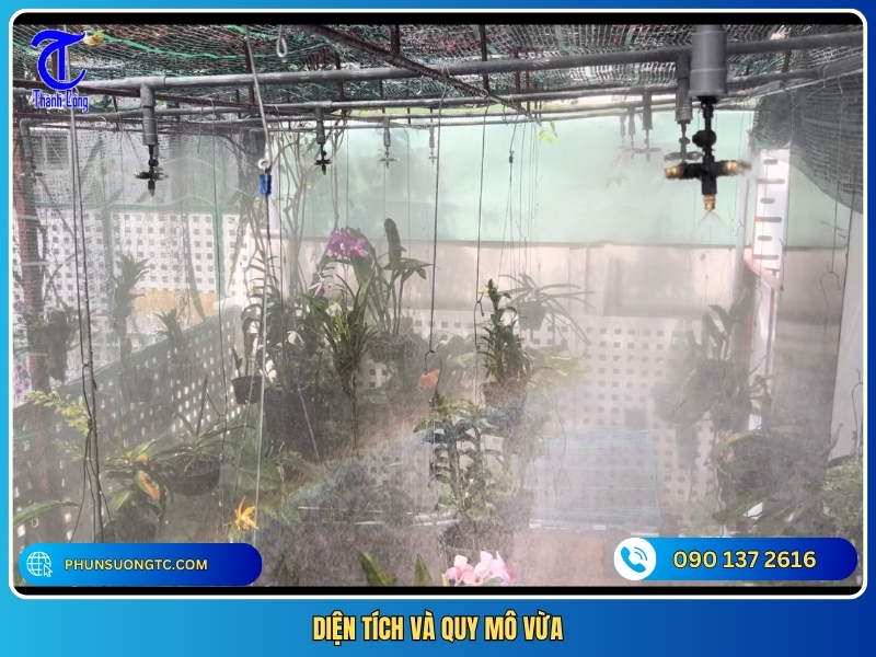 dien tich va quy mo vua