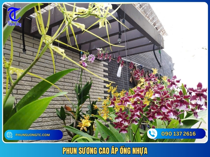 phun suong cao ap ong nhua