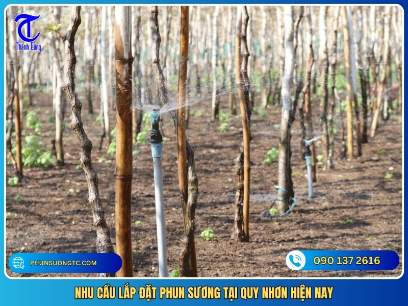 nhu cau lap dat phun suong tai quy nhon hien nay