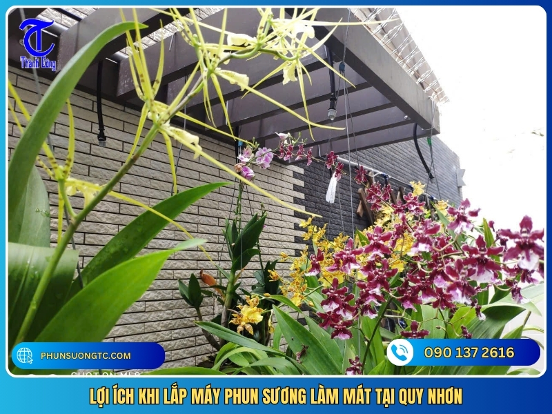 loi ich khi lap may phun suong lam mat tai quy nhon