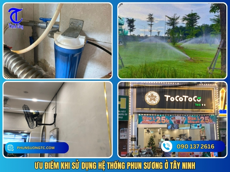 uu diem khi su dung he thong phun suong o tay ninh