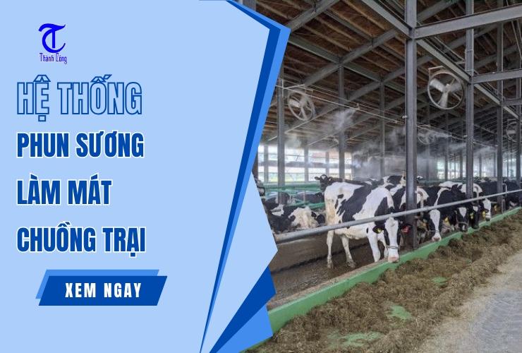 he thong phun suong lam mat chuong trai
